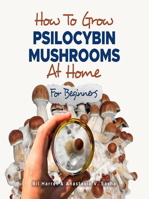 Cover image for How to Grow Psilocybin Mushrooms at Home for Beginners